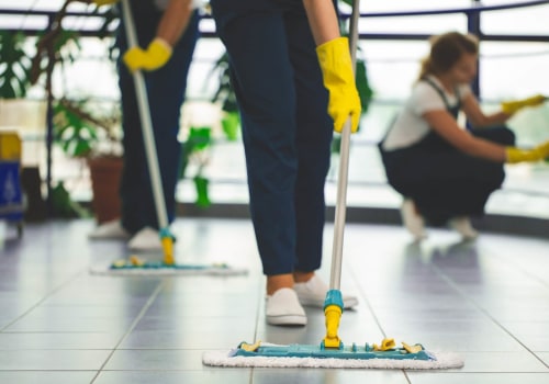 A Beginner's Guide to Training Employees on Using Carpet Cleaning Software